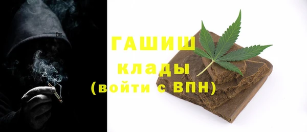 дживик Няндома